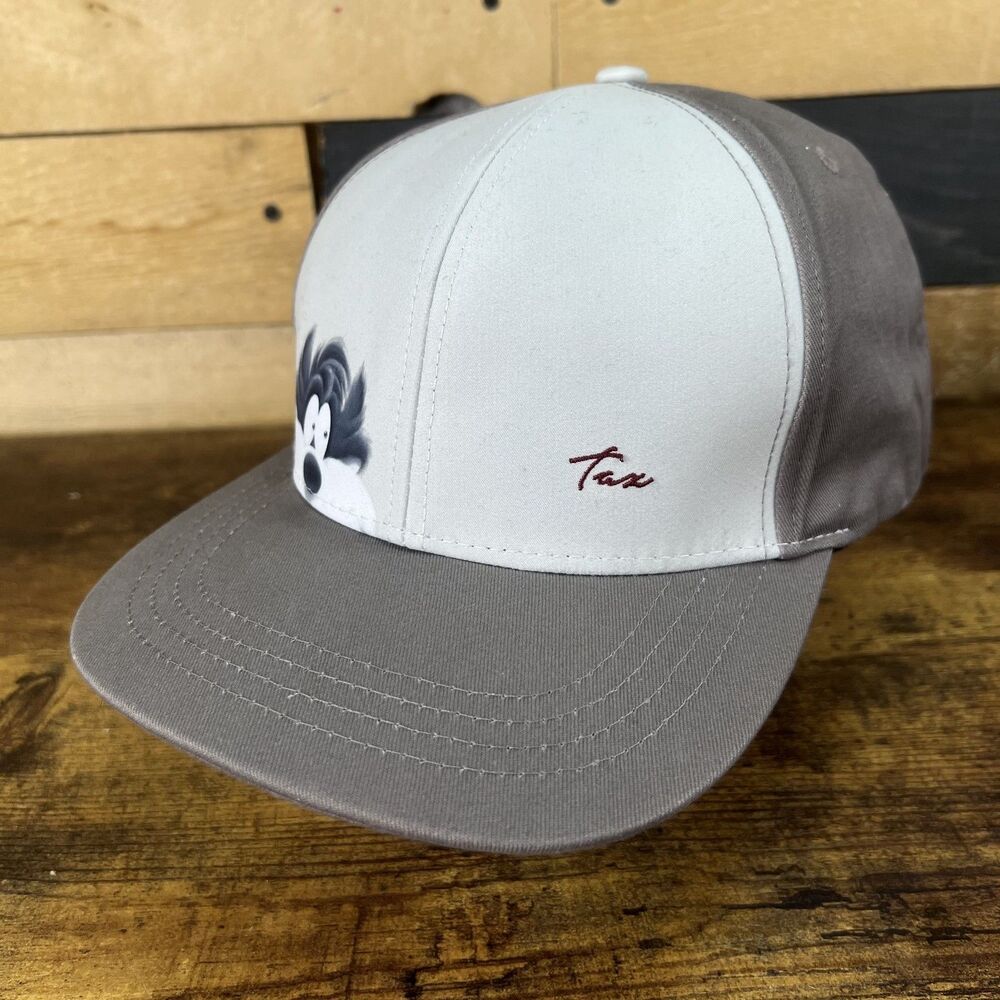 Taz Tazmanian Devil Warner Bros Six Flags Trucker SnapBack Hat Baseball Cap
